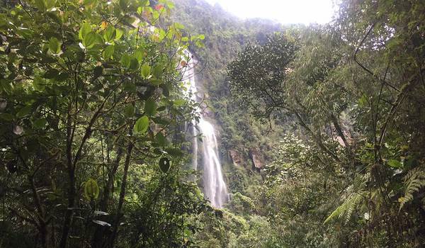 VISIT THE MOST IMPRESSIVE WATERFALL IN COLOMBIA!