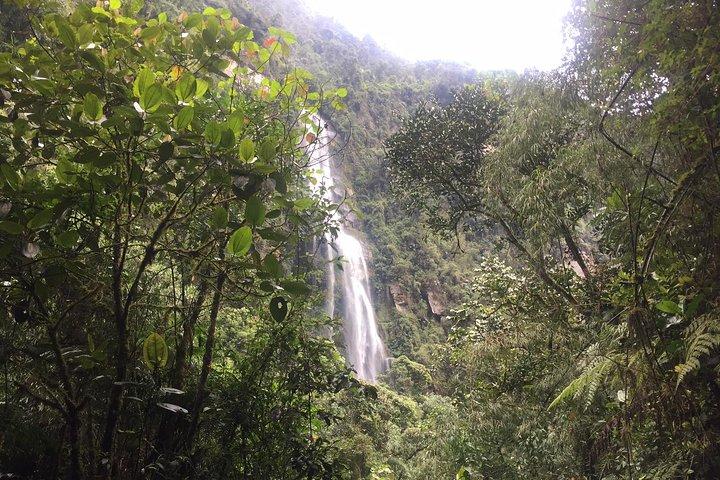VISIT THE MOST IMPRESSIVE WATERFALL IN COLOMBIA!